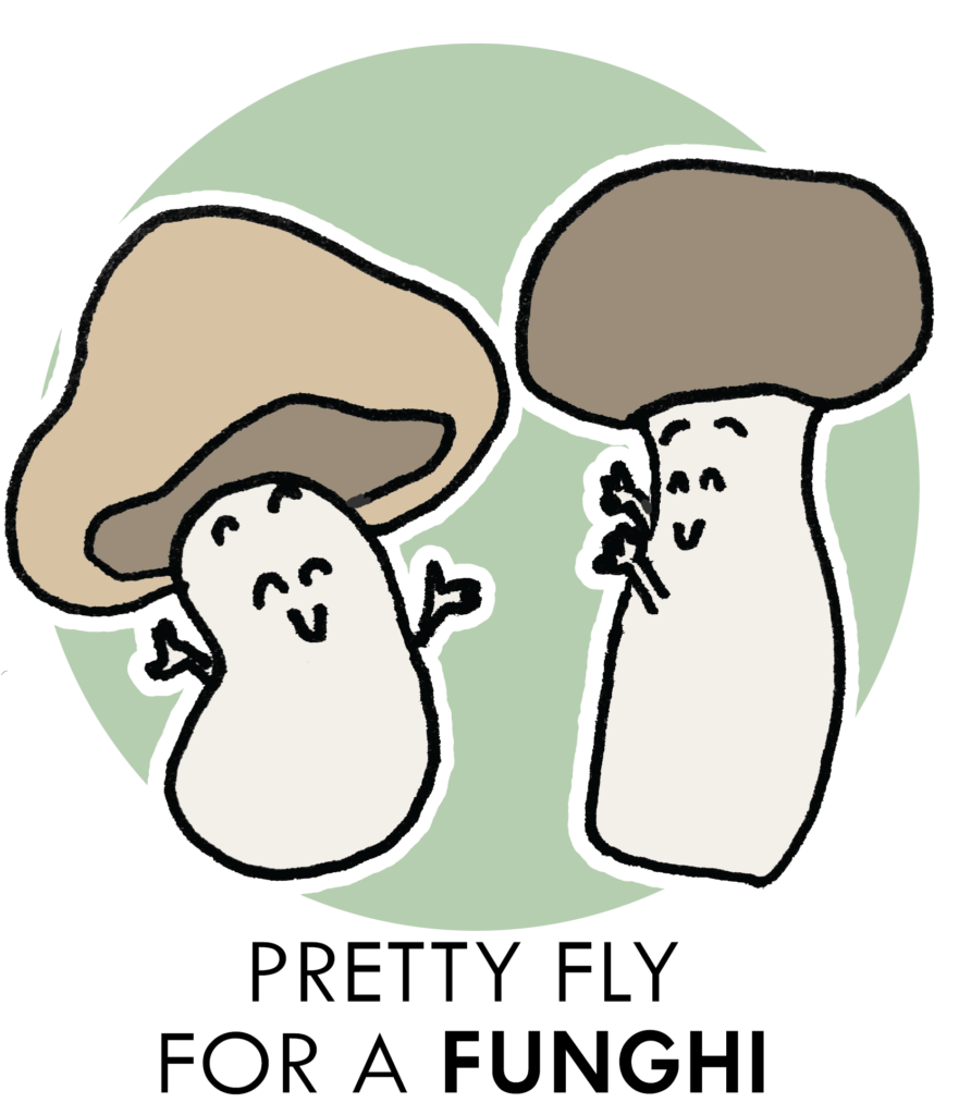 illustration - food pun - pretty fly for a funghi